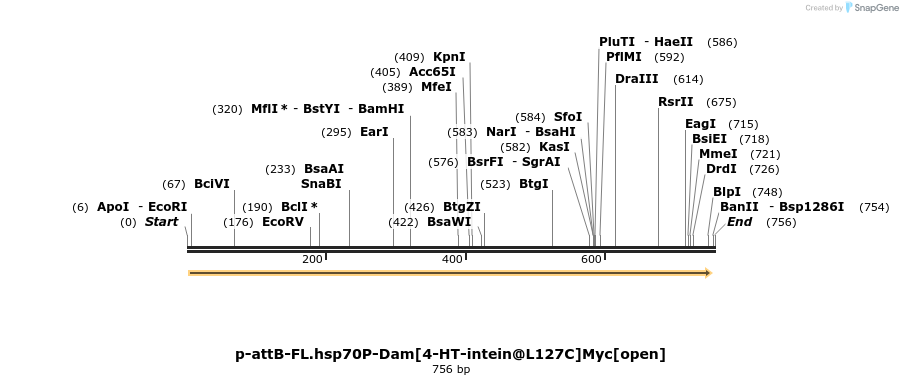 136284_map