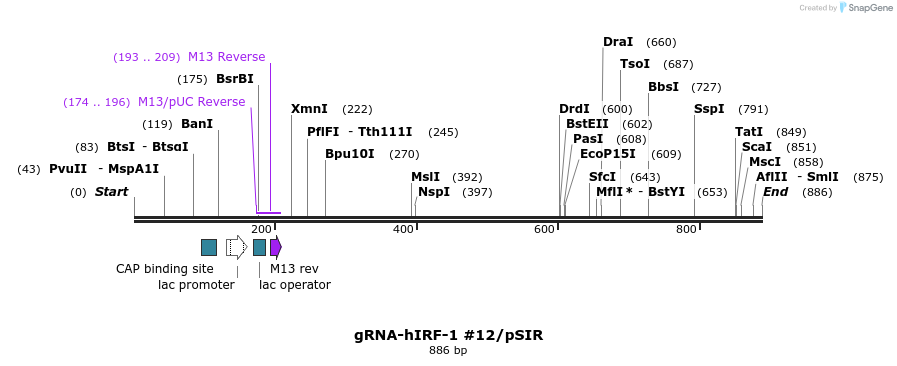 136286_map