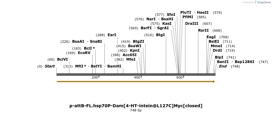 136287_map