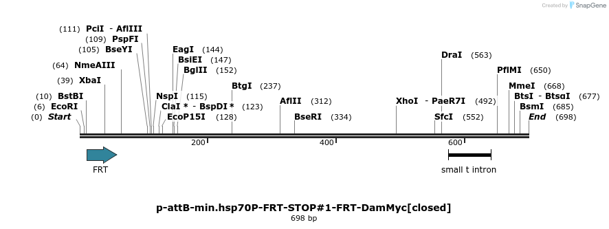 136290_map