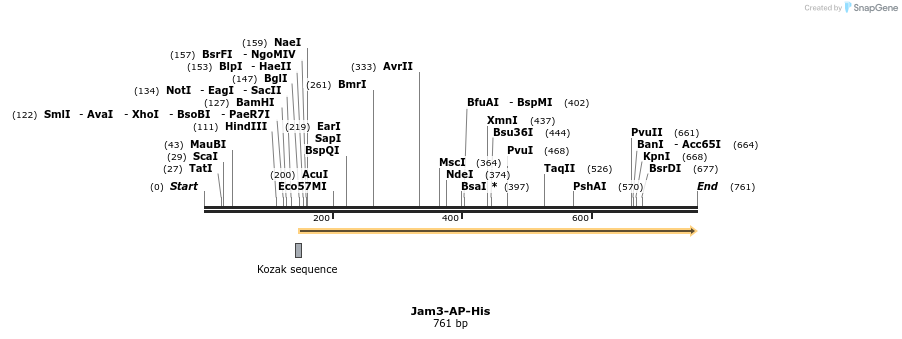 136295_map
