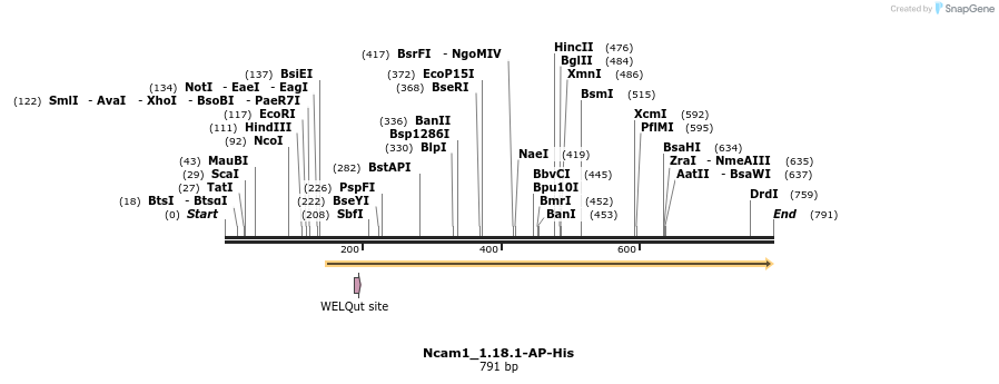 136297_map