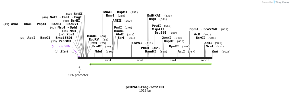 136302_map