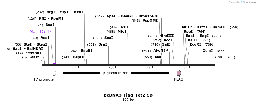 136303_map