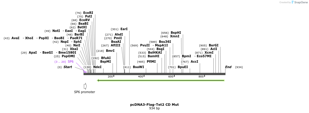 136305_map