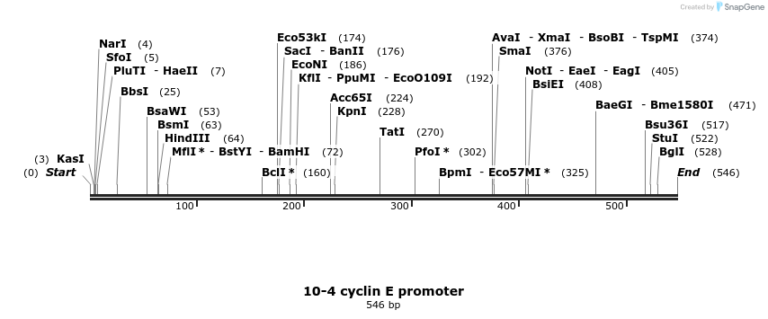 136310_map