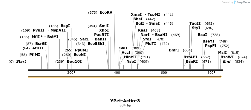 136317_map