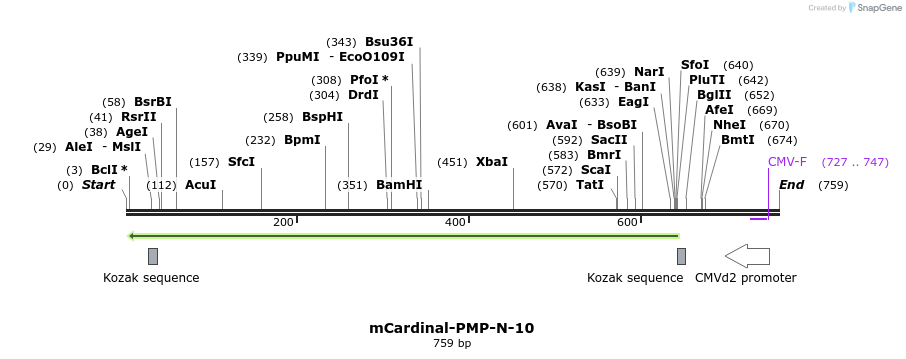 136318_map