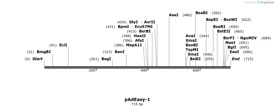 136322_map