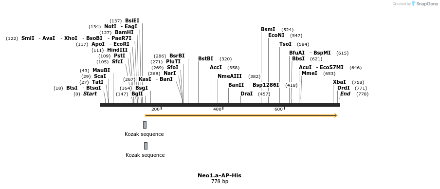 136326_map