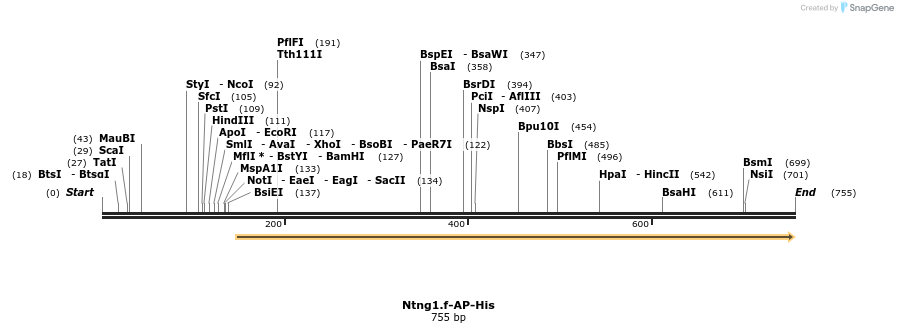 136330_map
