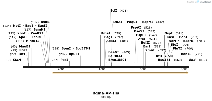 136332_map