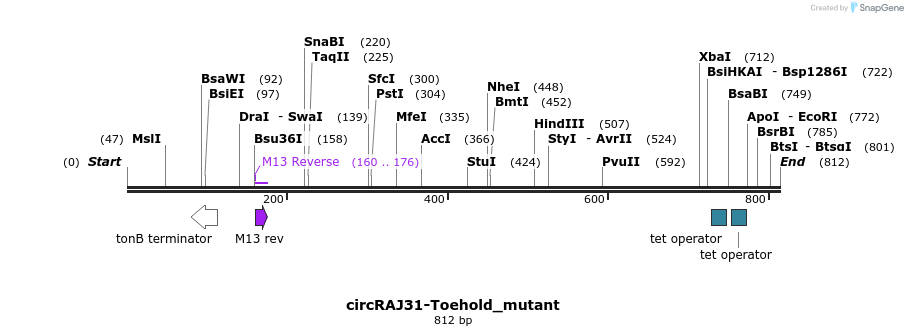 136344_map