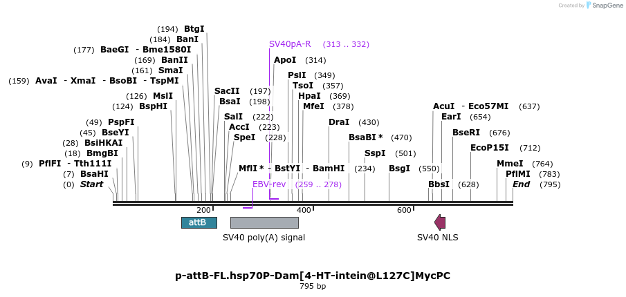 136350_map
