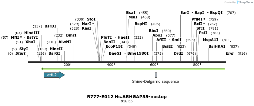 136359_map