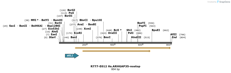 136361_map