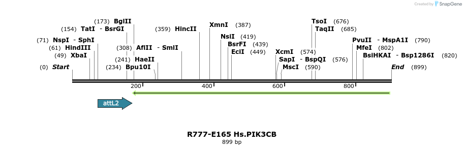 136364_map