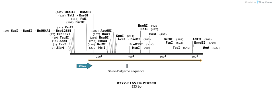 136366_map