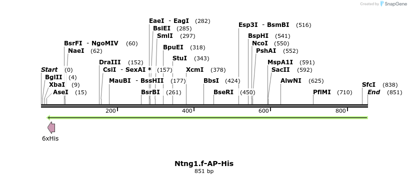 136375_map