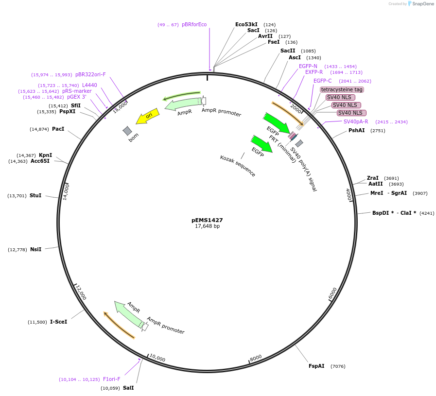 13638_map