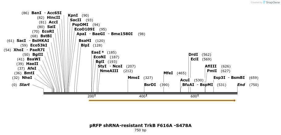 136391_map