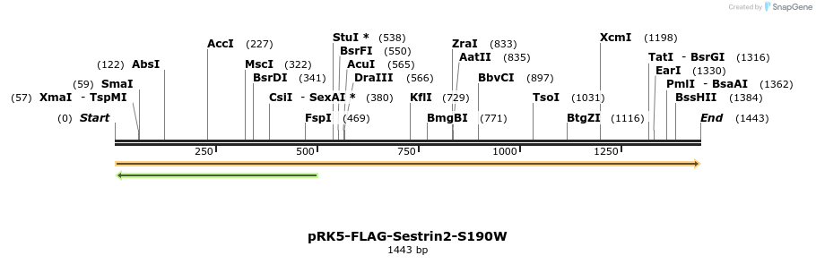 136398_map