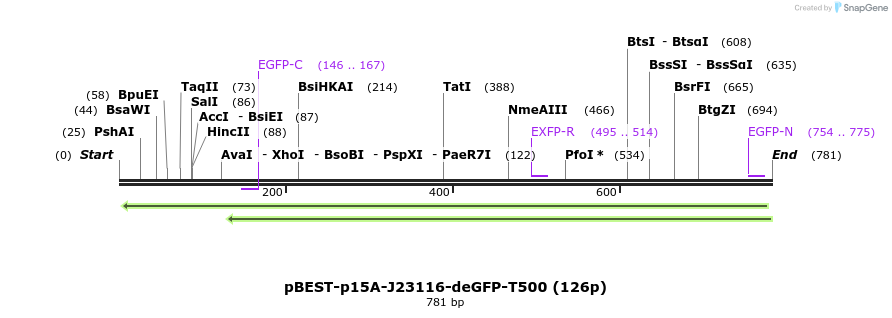 136402_map