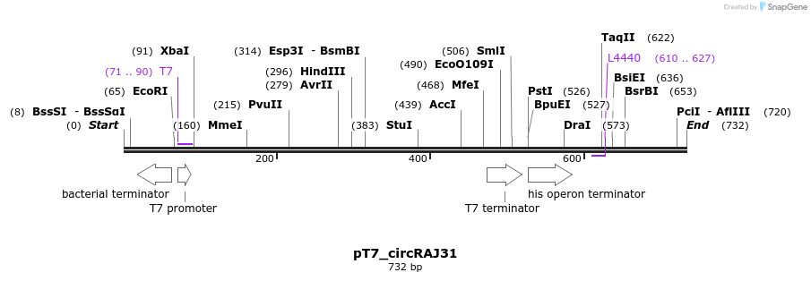 136405_map
