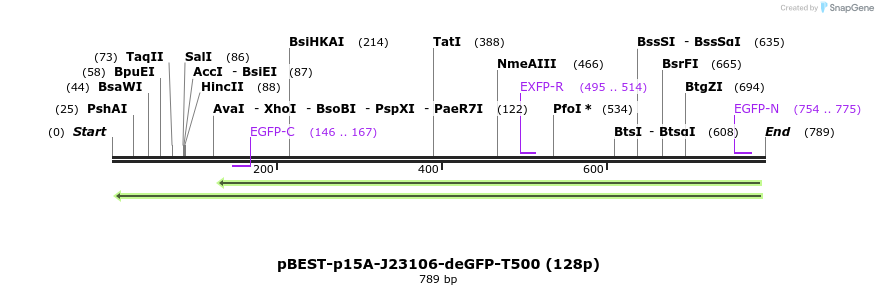 136407_map