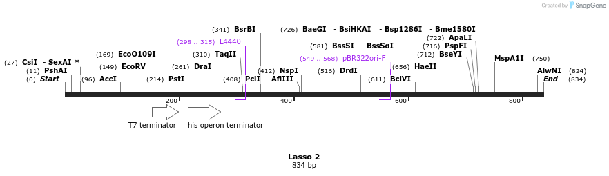 136409_map