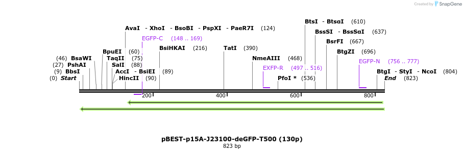 136411_map