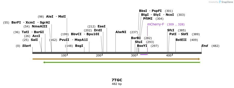 136412_map