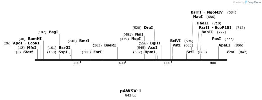 136413_map