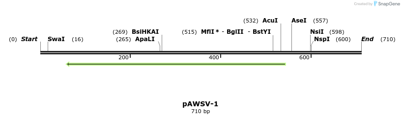 136416_map