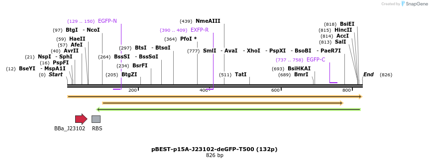 136417_map