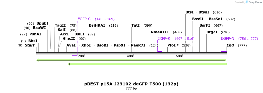 136418_map