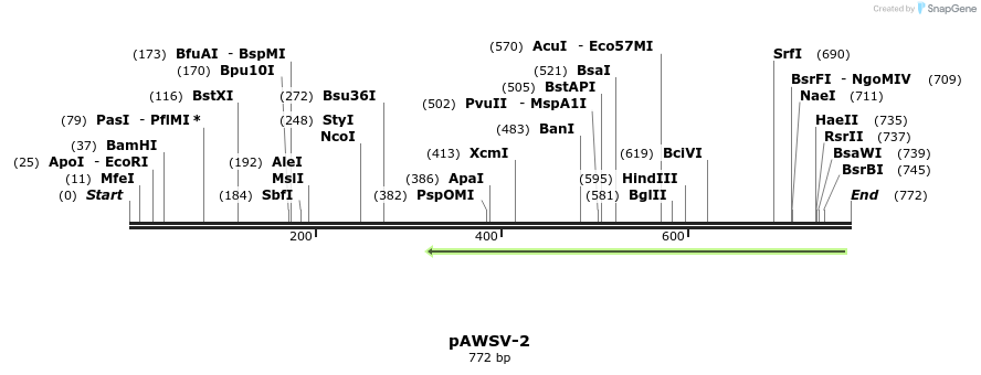 136419_map