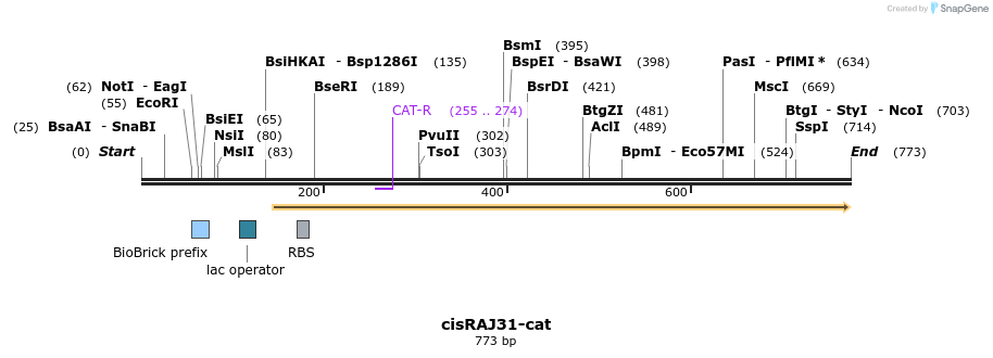 136421_map