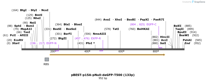 136422_map