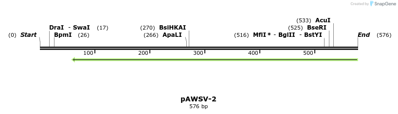 136424_map