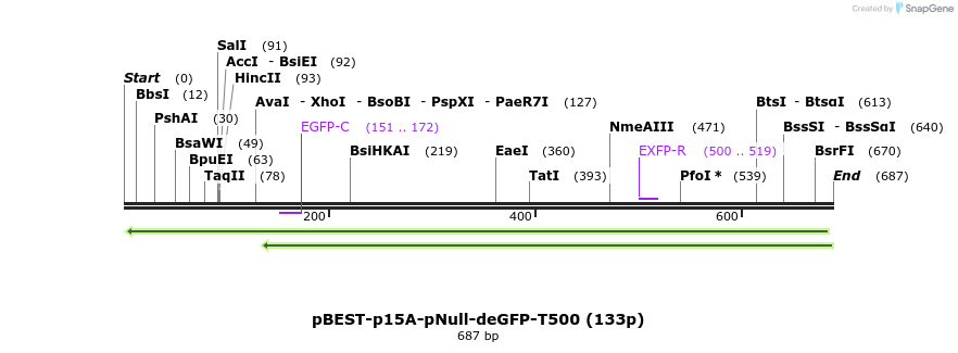 136425_map