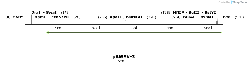 136427_map
