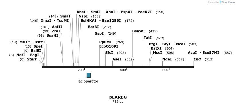 136428_map