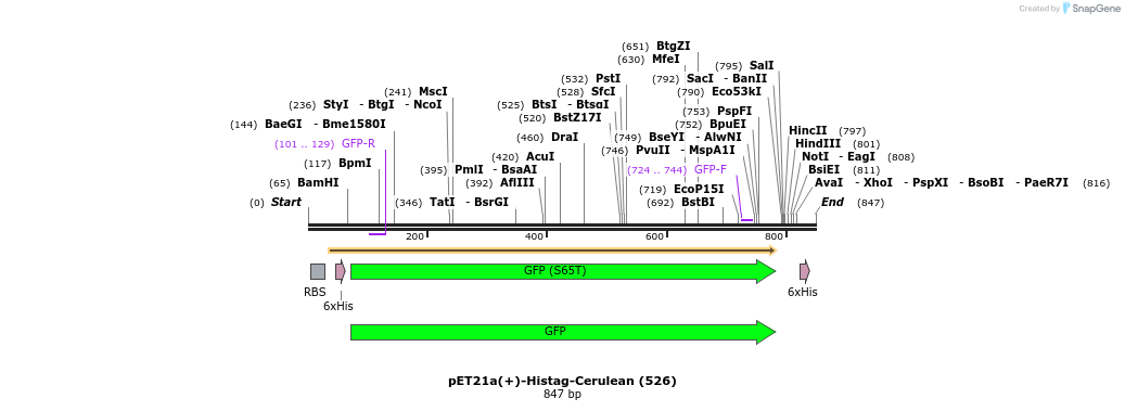 136430_map