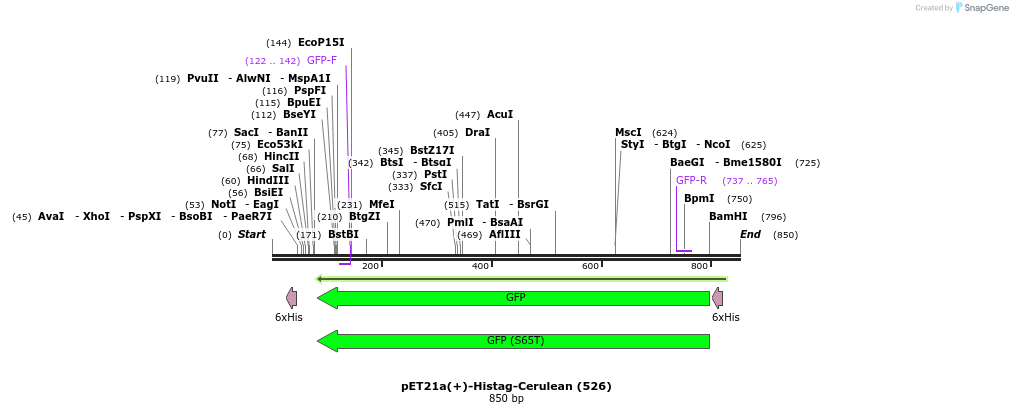 136431_map
