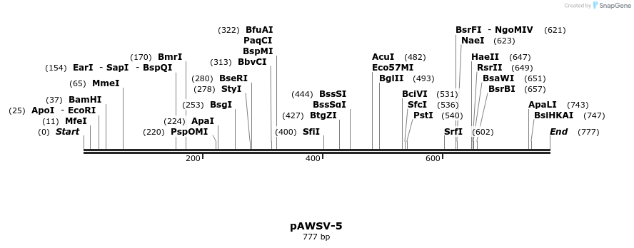 136435_map
