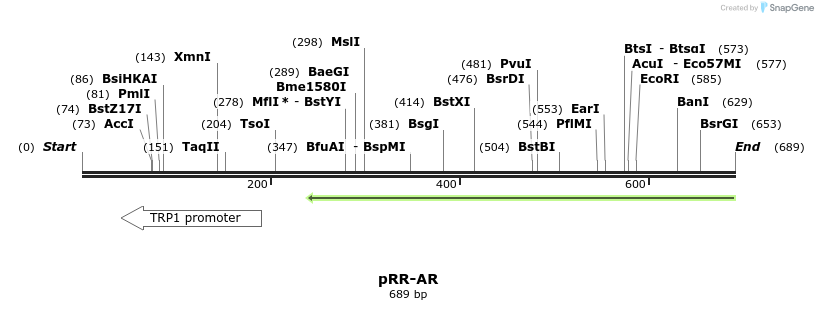 136436_map
