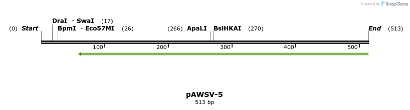 136437_map