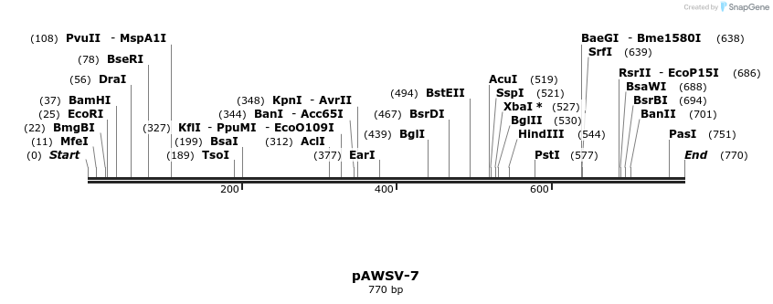 136442_map