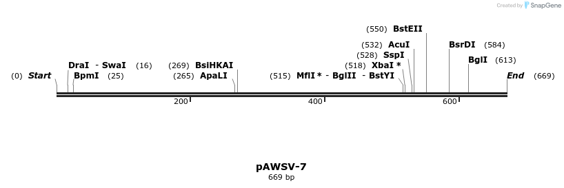 136446_map
